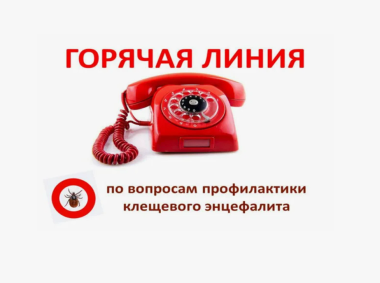 Горячая линия по профилактике клещевого вирусного энцефалита.