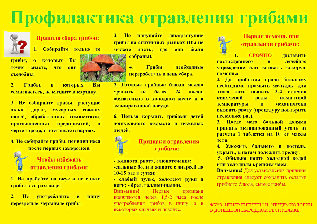 Внимание! Отравление грибами!.